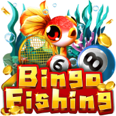 Bingo Fishing JLTT fishing
